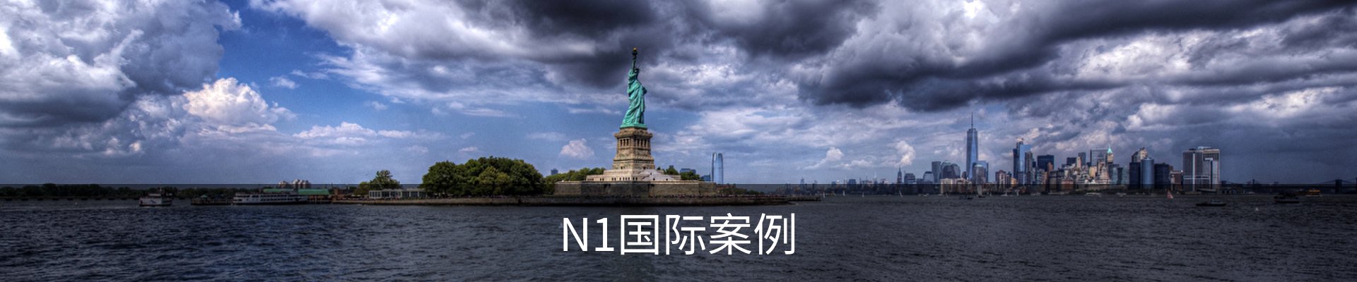 N1国际案例